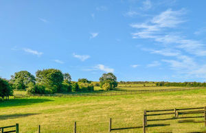 Photo 11- click for photo gallery